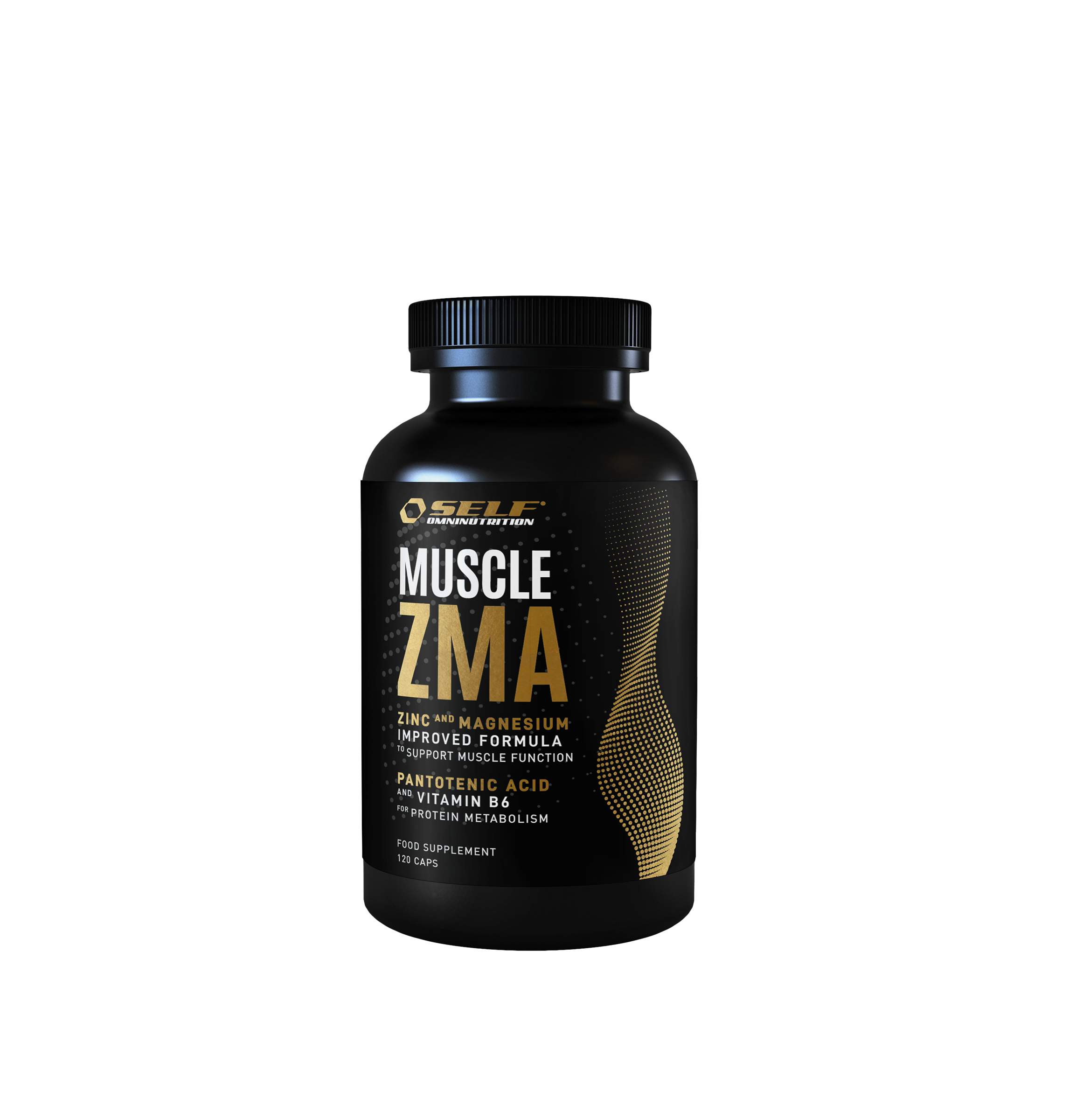 عضلة ZMA
